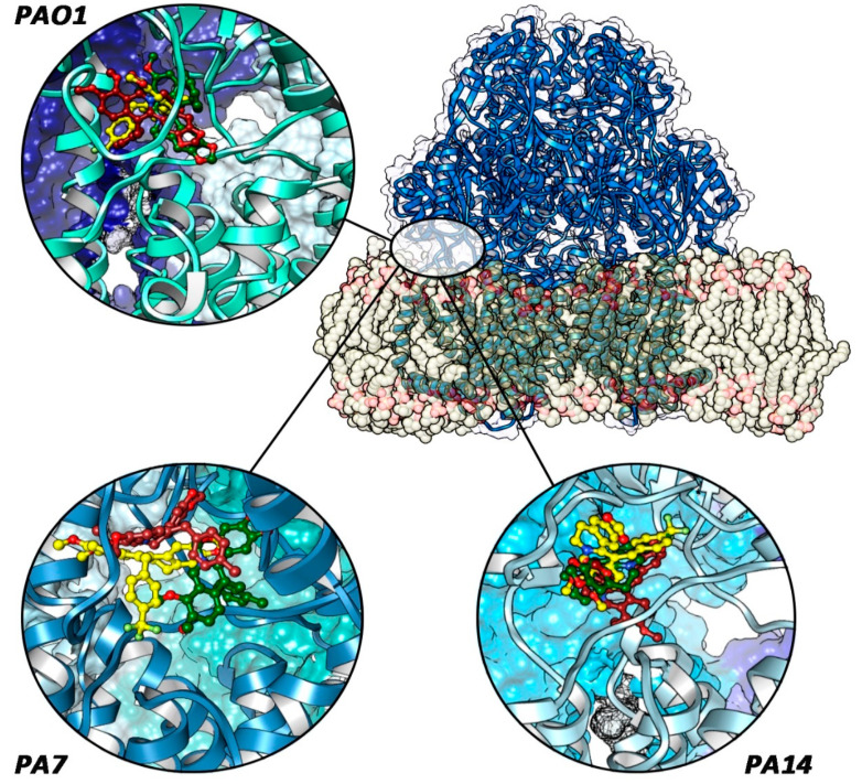 Figure 4