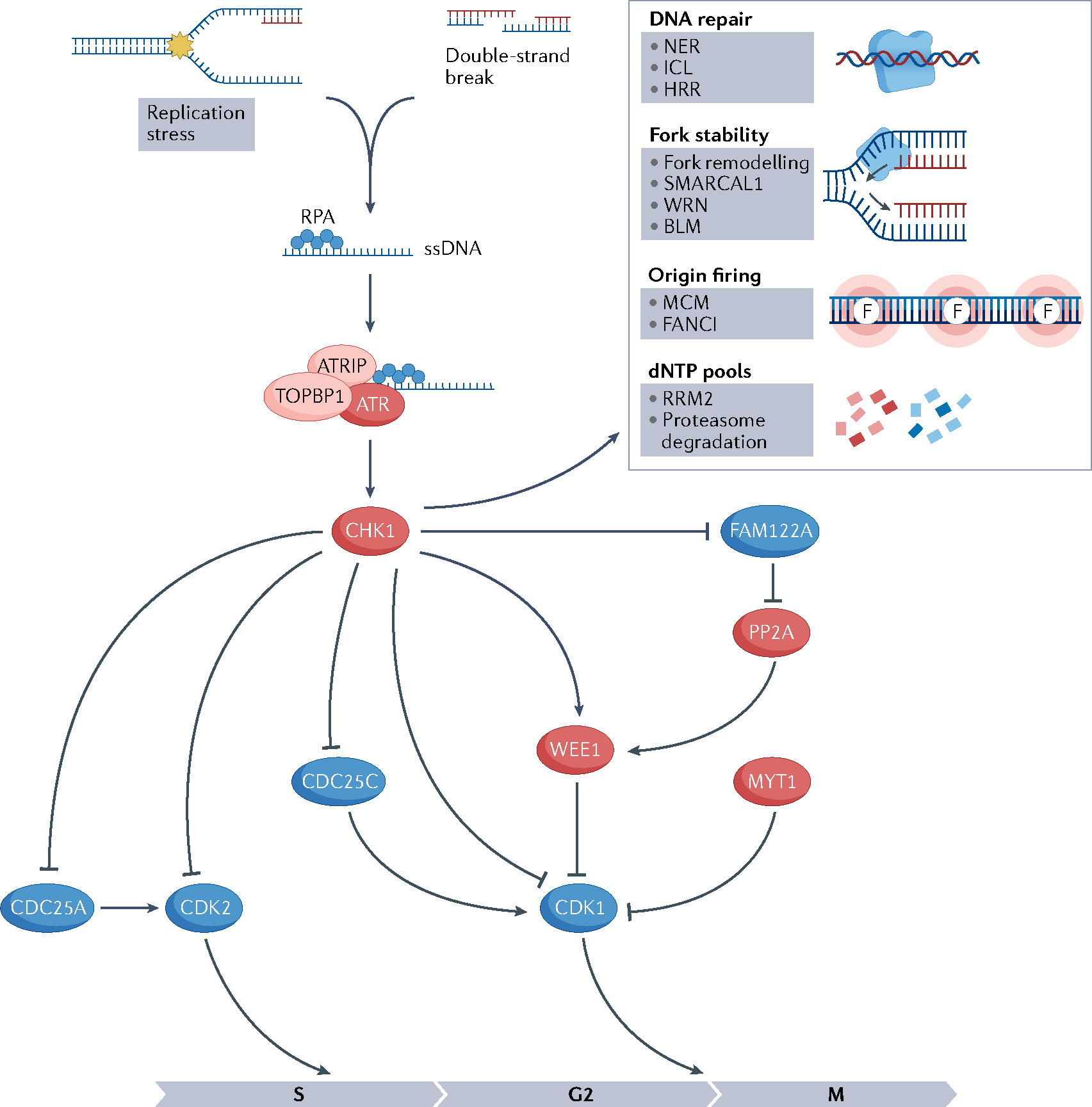 Fig. 2 |