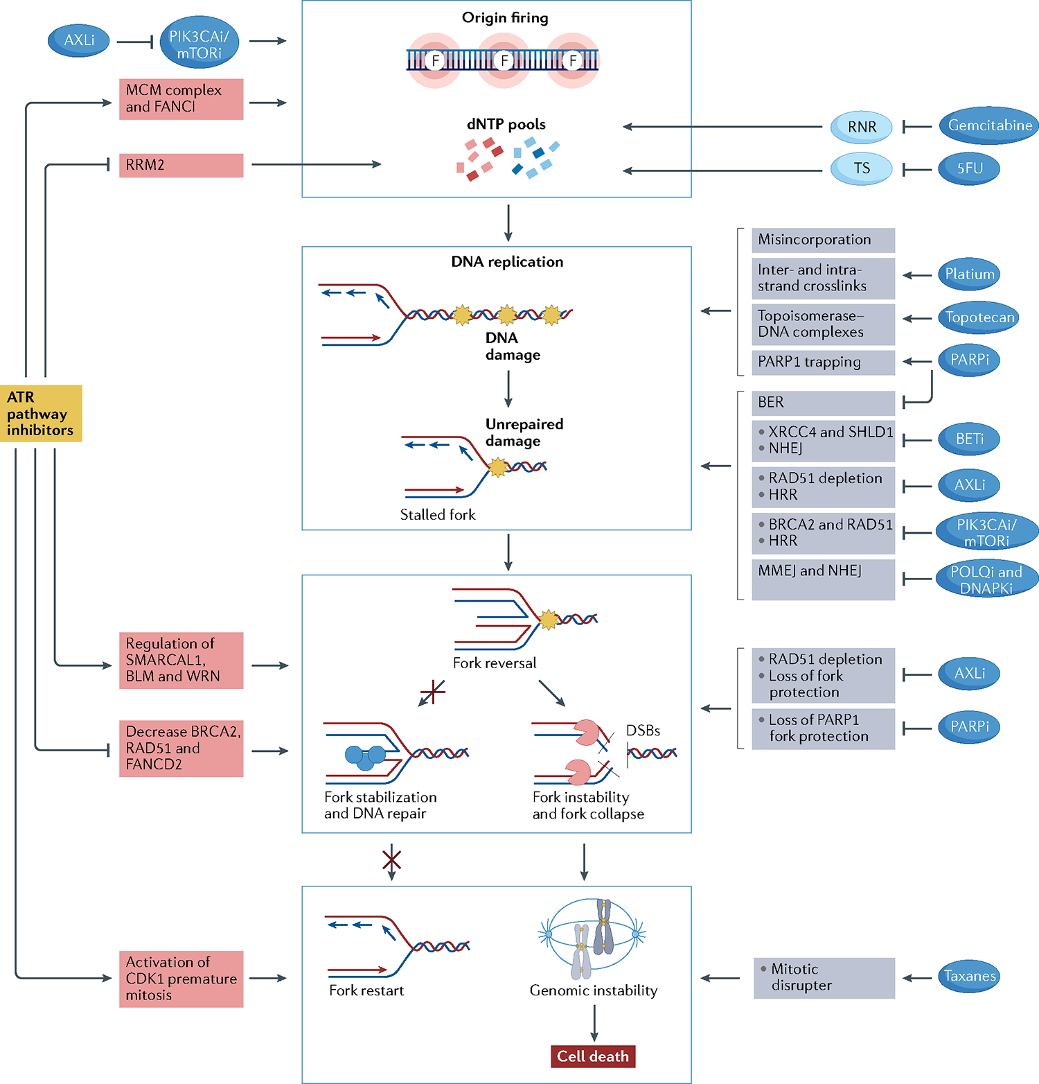 Fig. 4 |