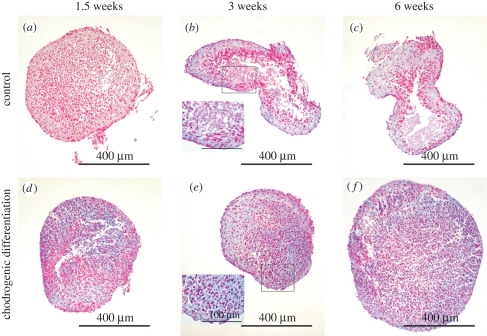 Figure 4.