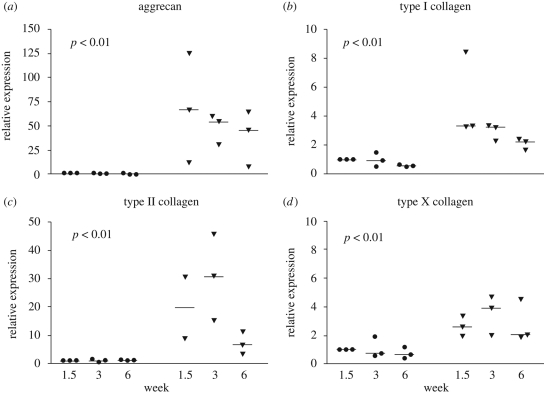 Figure 6.