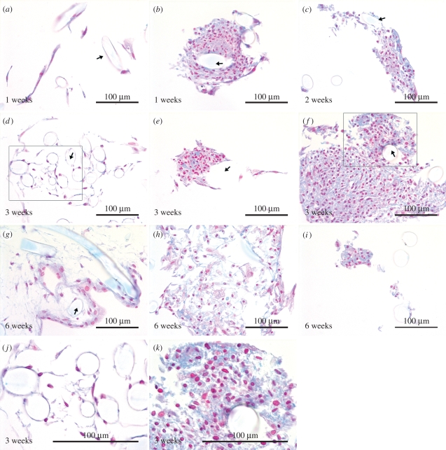 Figure 3.