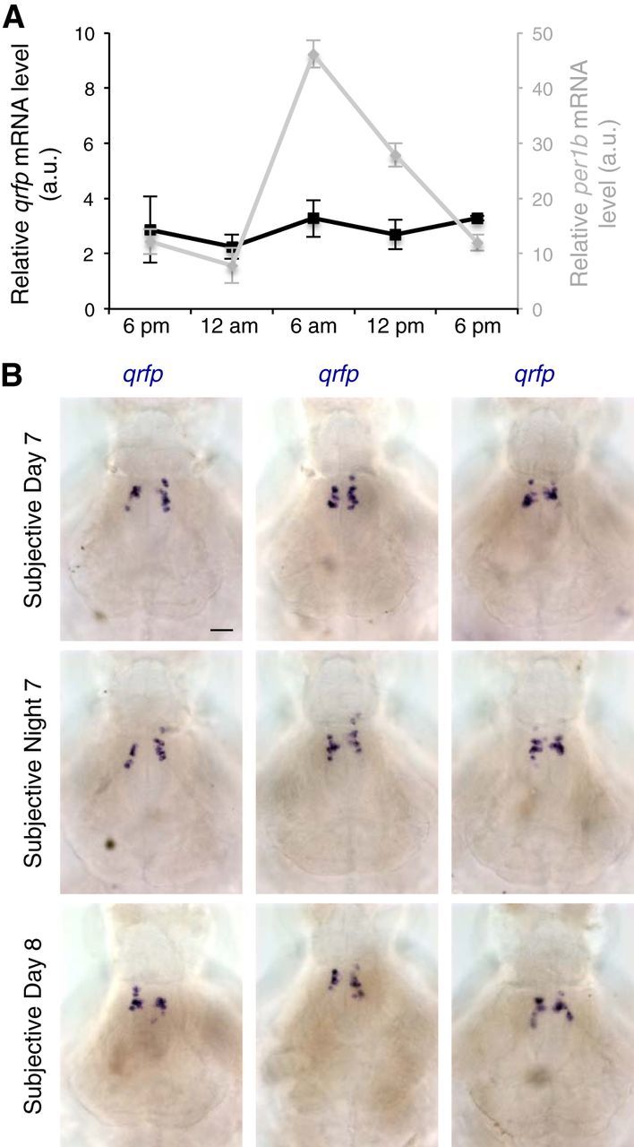 Figure 13.