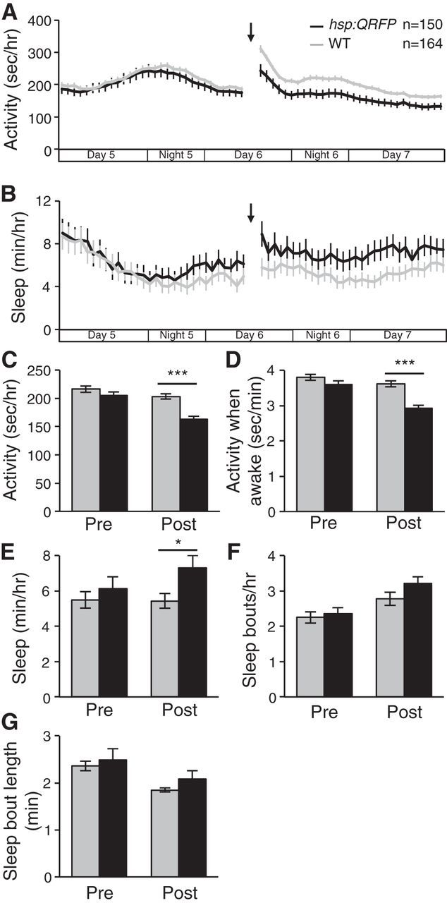 Figure 14.