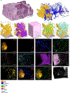 Extended Data Fig 8