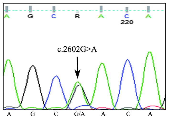 Figure 4.