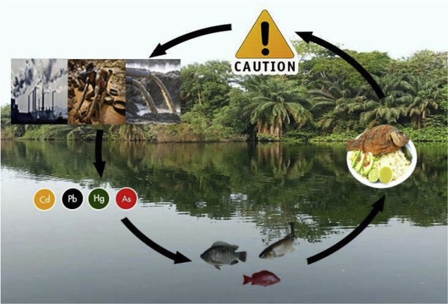 Health Risk Assessment And Levels Of Toxic Metals In Fishes suicide-risk-assessment-toolkit-mental-health-commission-of-canada