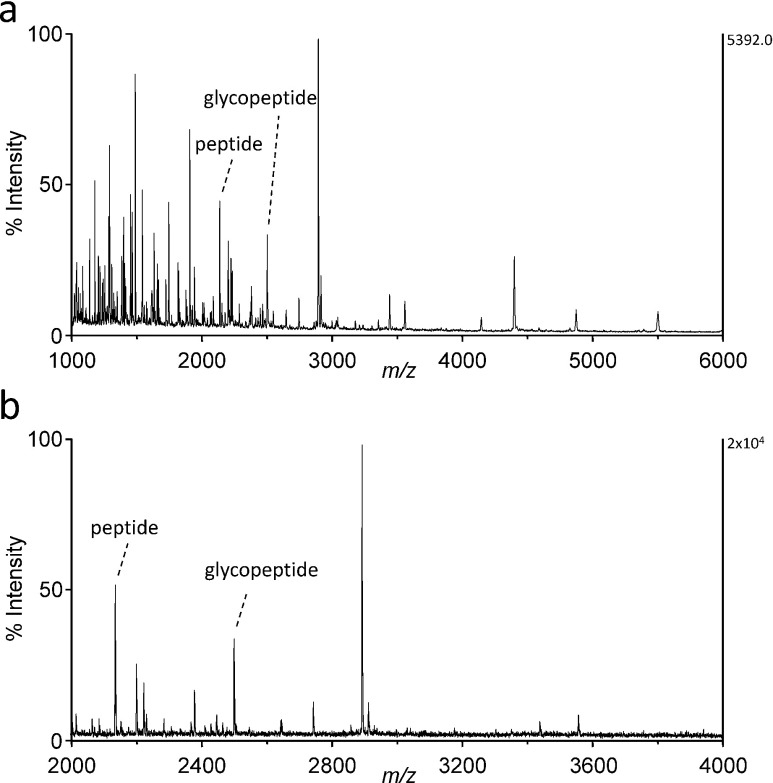 Fig. 3. MALDI TOF mass spectra of a lysylendopeptidase digest of VLDL.