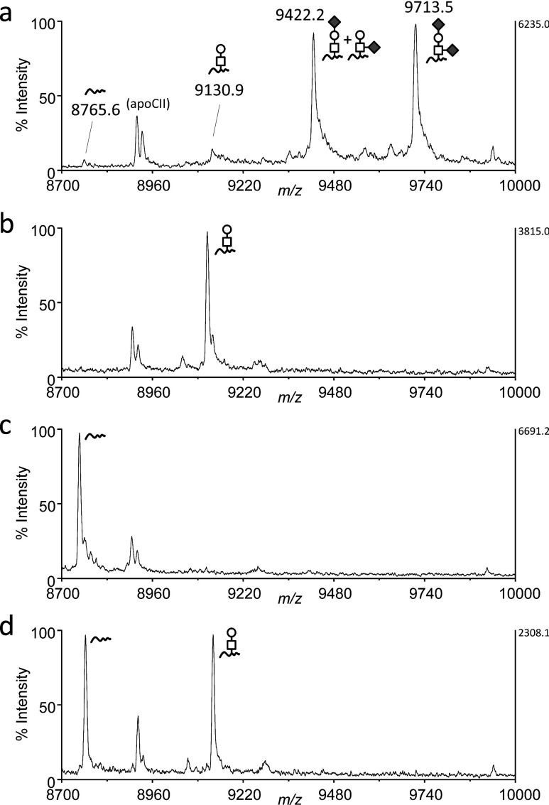 Fig. 1. MALDI linear TOF mass spectra of apoCIII in VLDL.