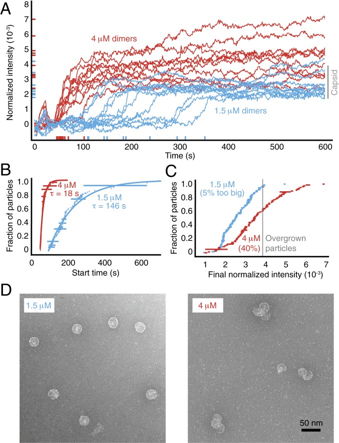 Fig. 3.