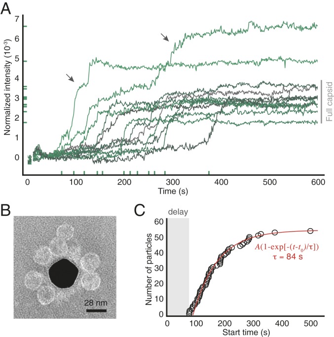 Fig. 2.