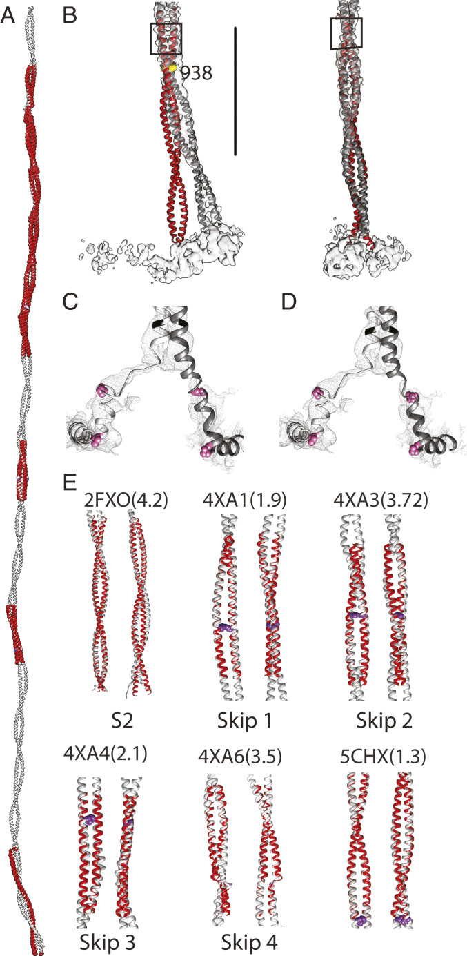 Fig. 4.