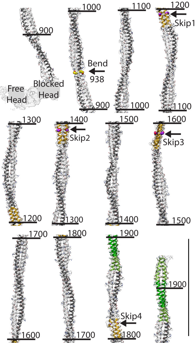 Fig. 3.