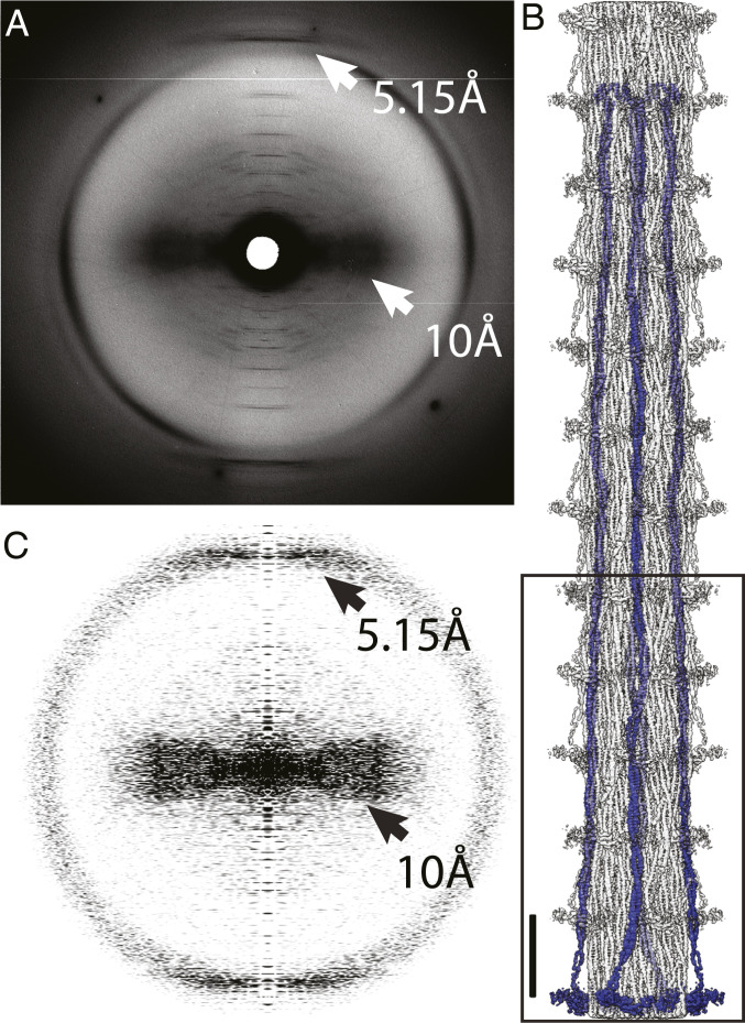 Fig. 2.