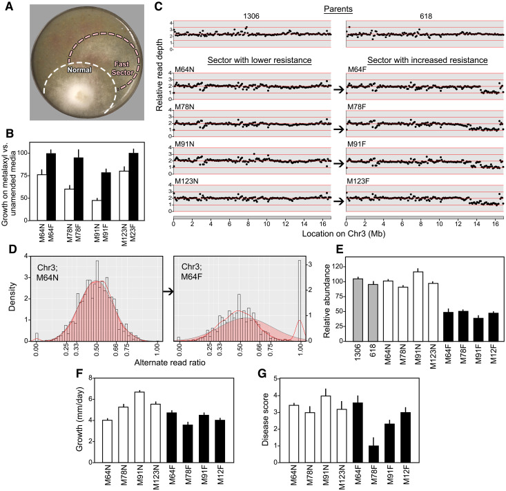 Fig 10