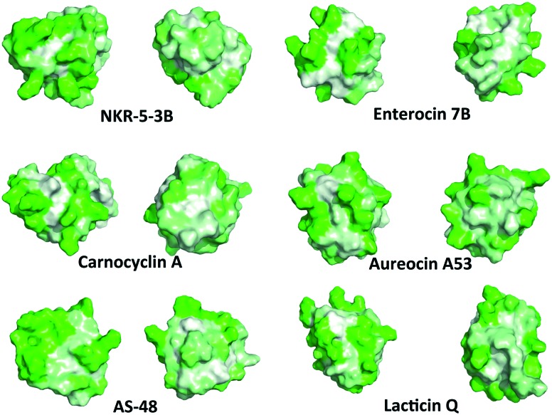 Fig. 6