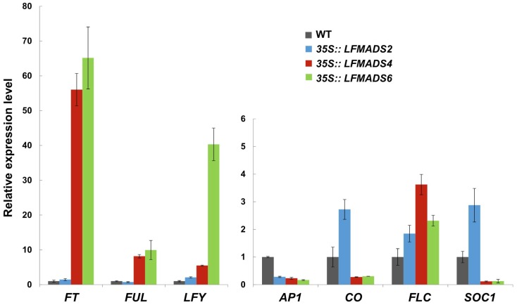 Figure 6