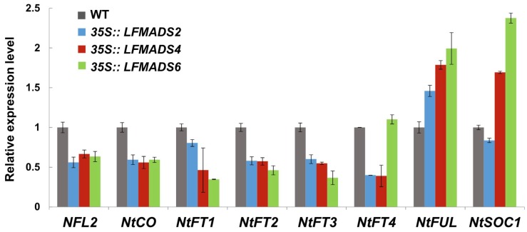 Figure 10