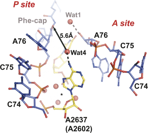 FIGURE 4.