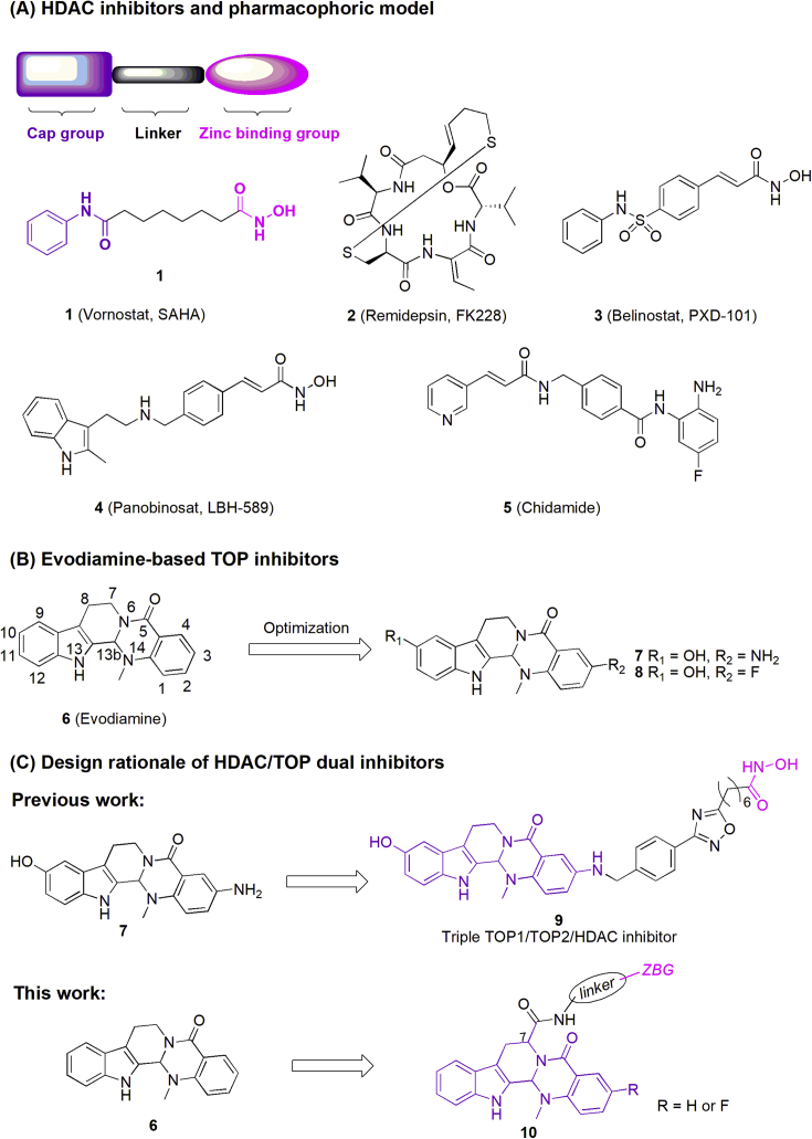 Figure 1