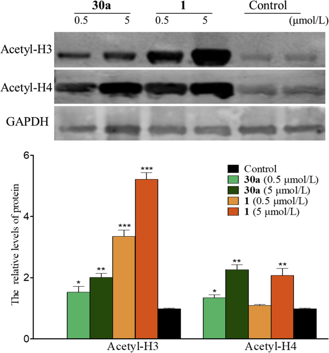 Figure 4