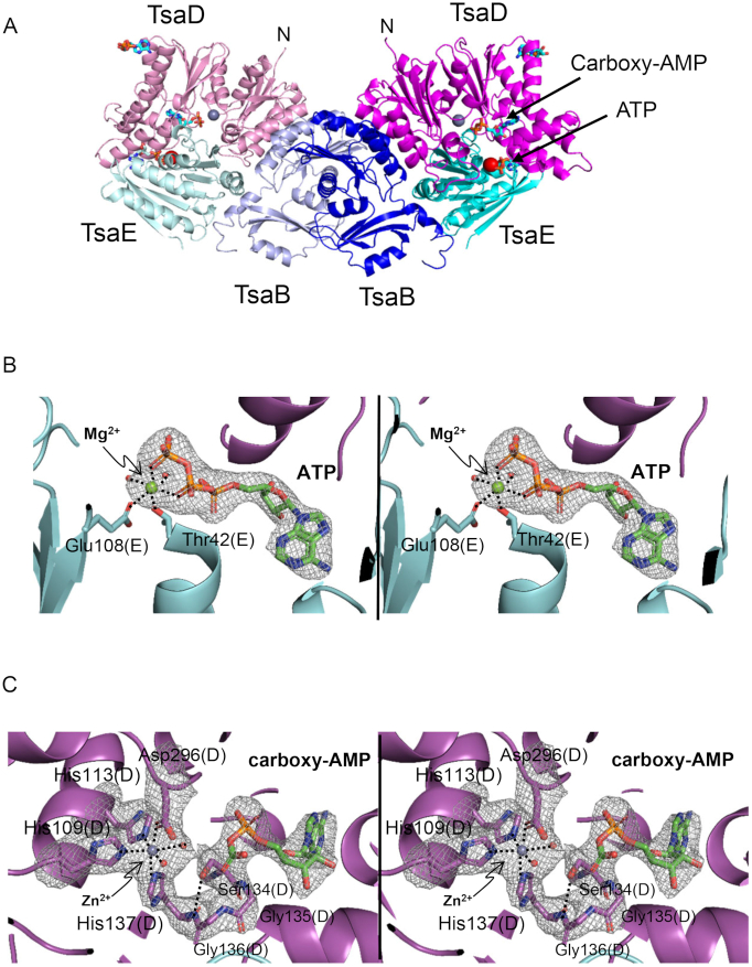 Figure 2.