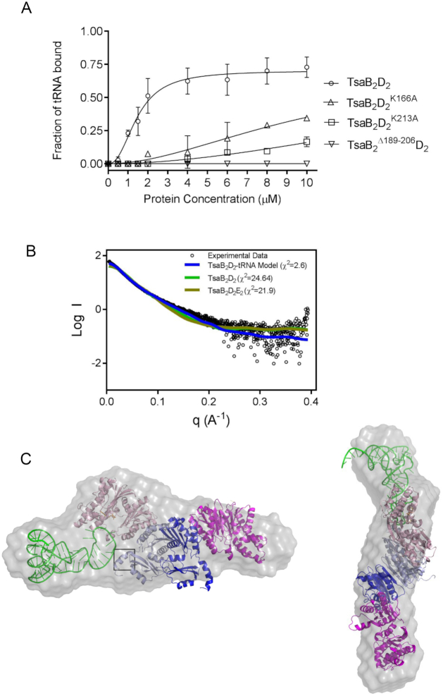 Figure 7.