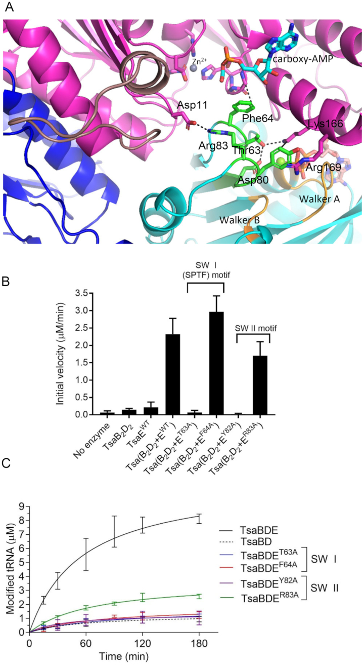 Figure 6.