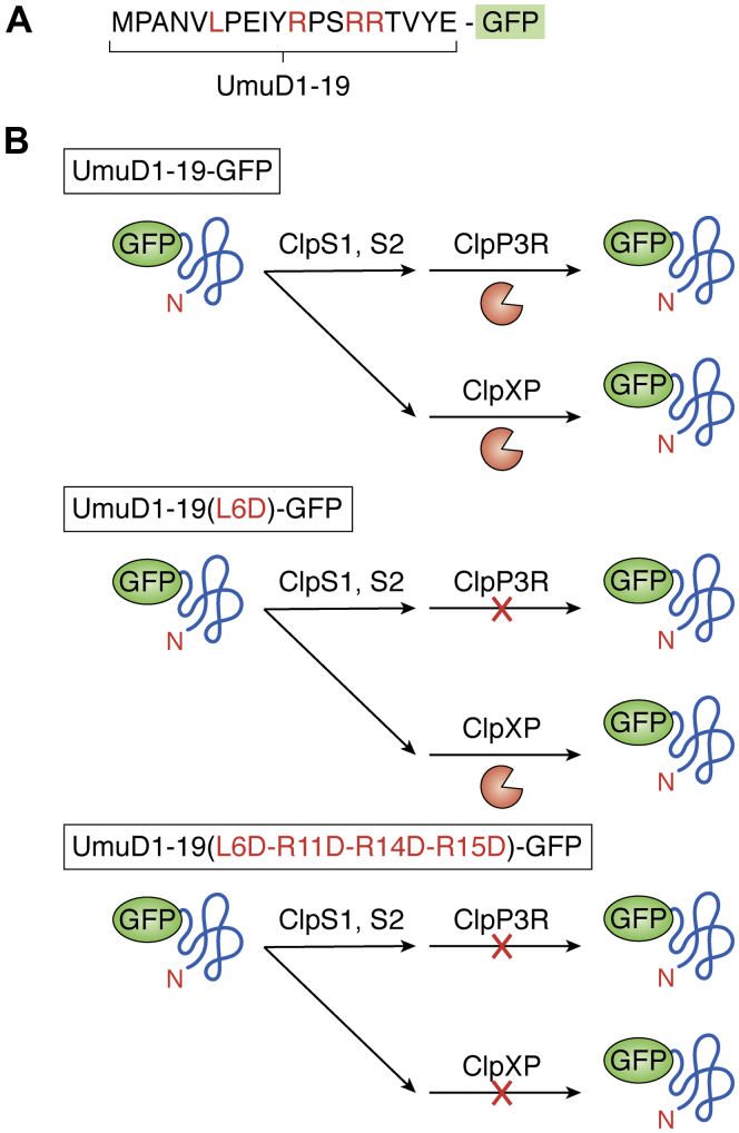 Figure 5