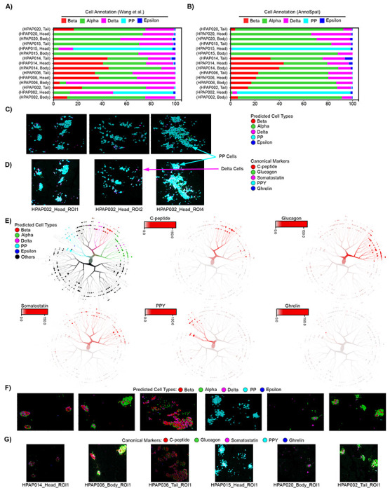 Figure 3: