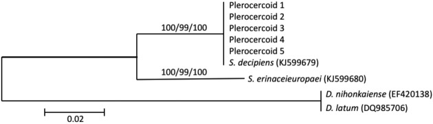 Fig. 1.