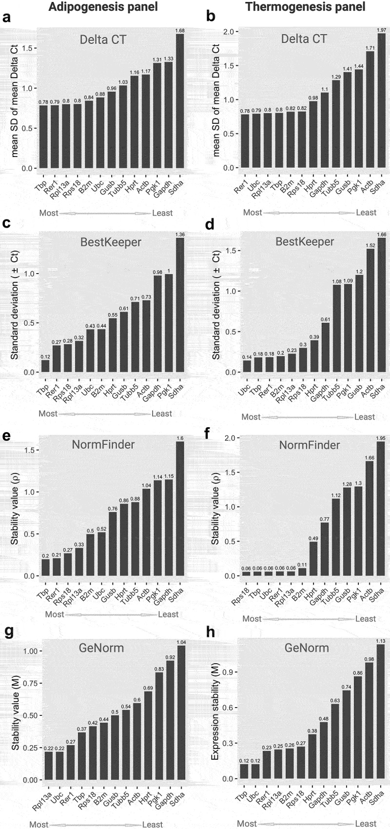 An extensive eight-panel bar graph depicts stability scores of 13 housekeeping genes in the context of adipogenesis (A, C, E, G) and thermogenesis (B, D, F, H). These scores are computed using four distinct algorithms (Delta CT, BestKeeper, NormFinder, and GeNorm). Each panel provides a visual ranking of genes, arranged from most to least stable, as determined by their respective algorithmic stability evaluations. Lower scores within the graph indicate higher stability, while higher scores signify lower stability.