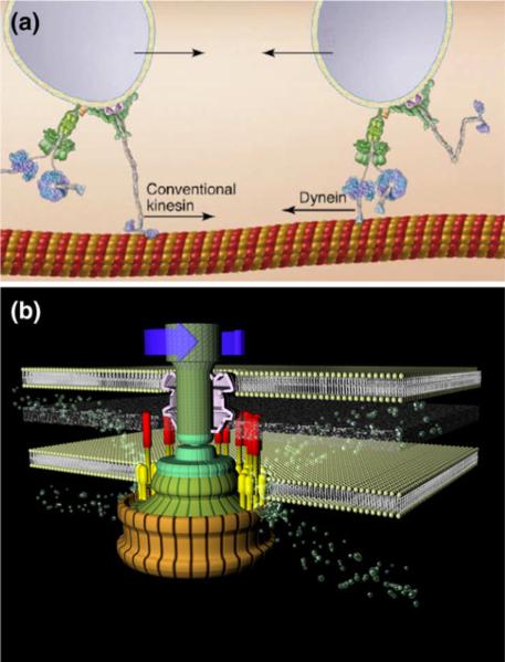 FIGURE 3