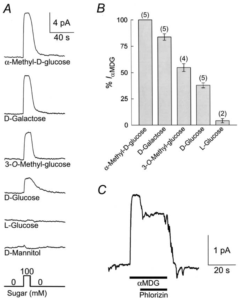 Fig. 5