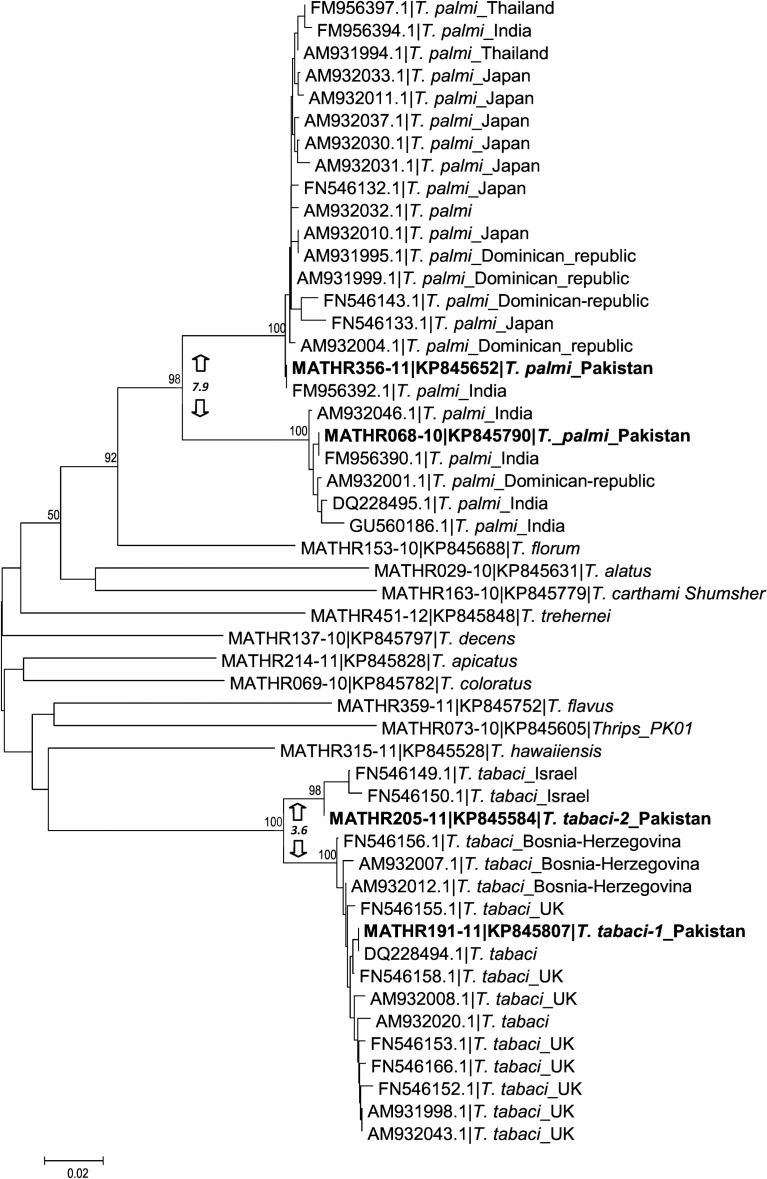 Fig 5