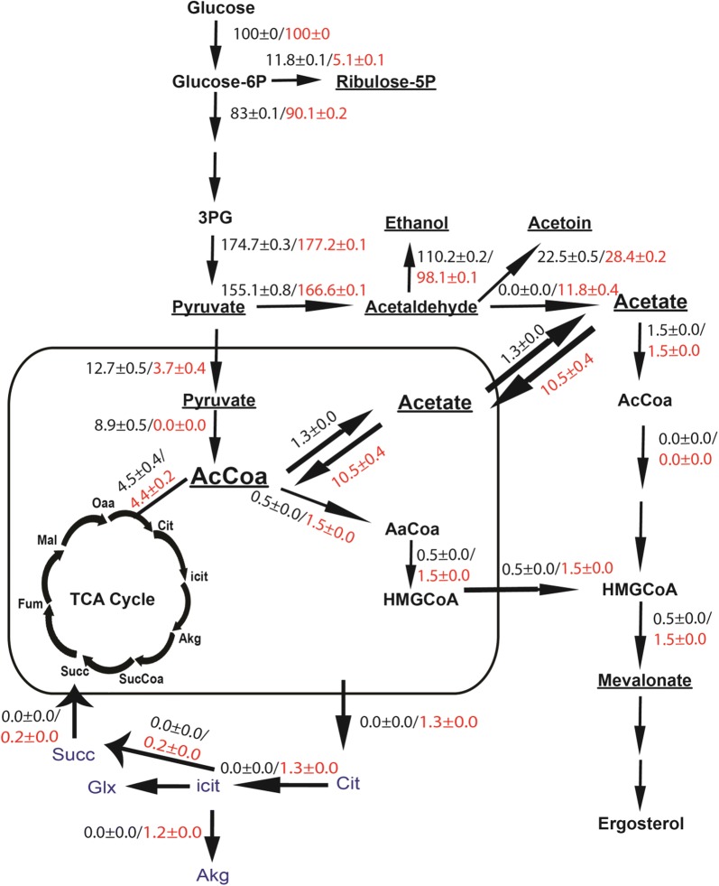 Fig. 1