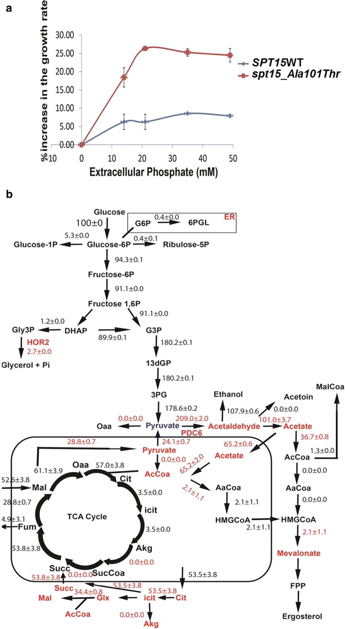 Fig. 4