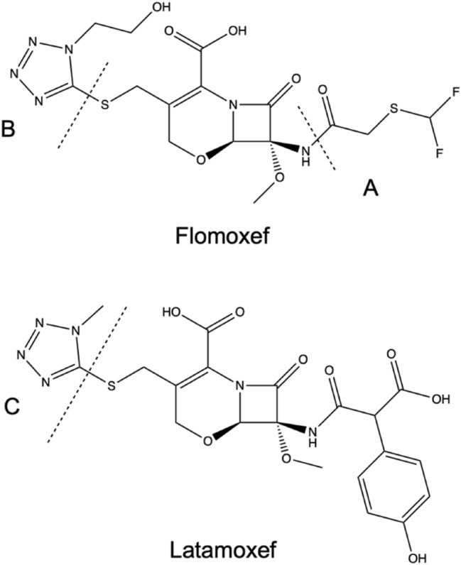 Fig. 3