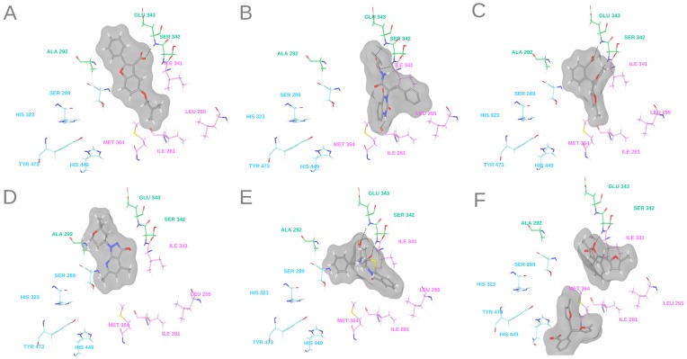 Figure 6