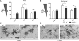 <b>FIG. 4.</b>