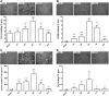 <b>FIG. 2.</b>