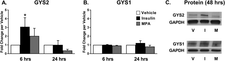 Figure 3.