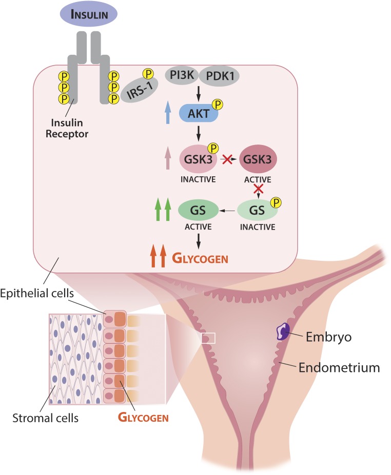 Figure 5.