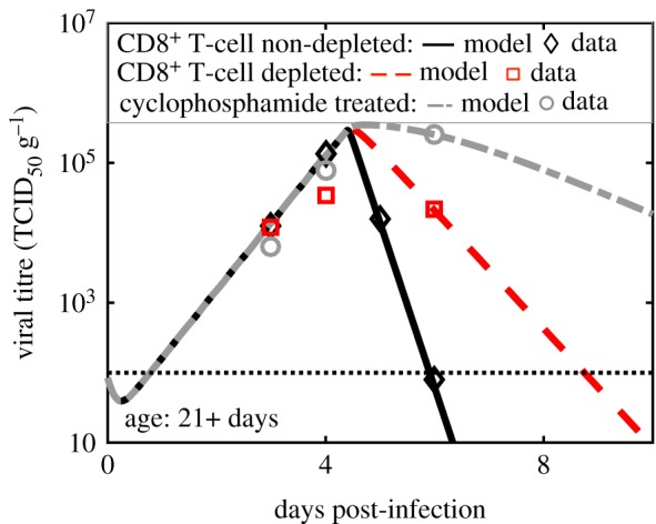 Figure 7.