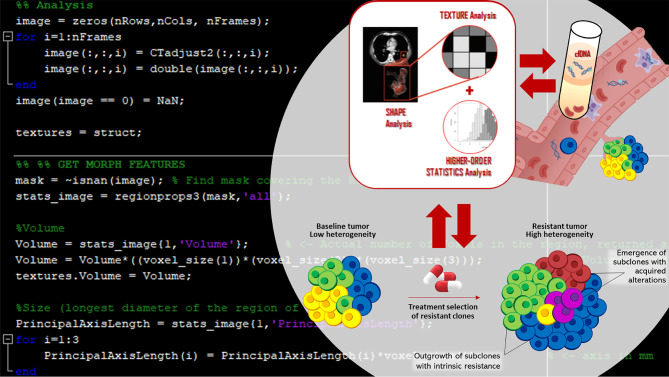 Graphical Abstract