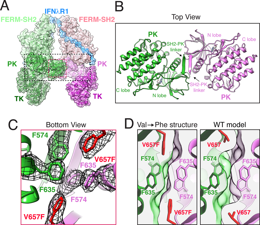 Fig. 4.