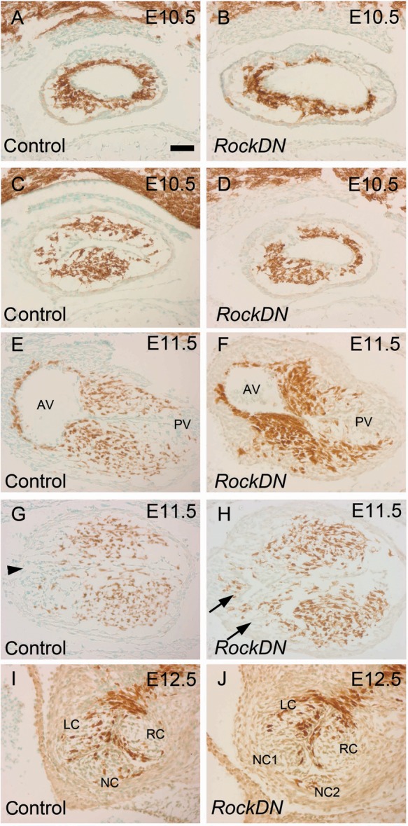 Figure 5