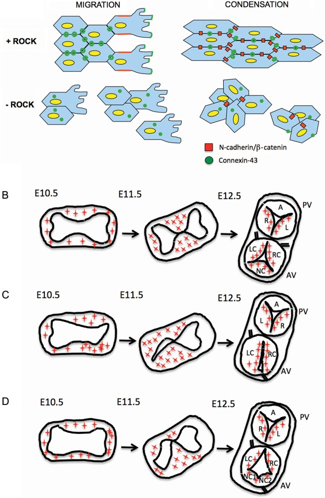 Figure 6