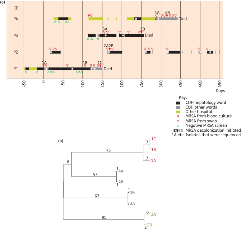 Figure 1.