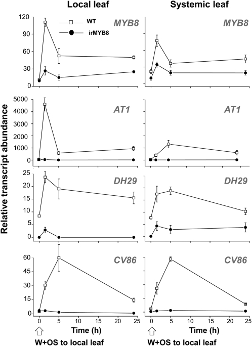 Figure 2.